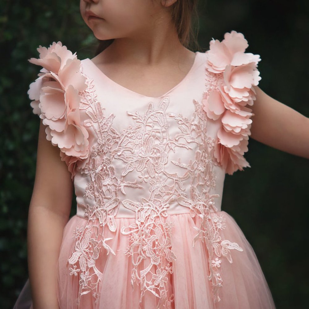 Beautiful Tulle Floral Applique Dress - Girls 5